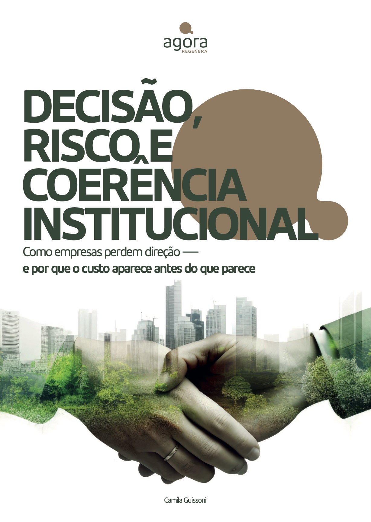 E-book Decisão, Risco e Coerência Institucional